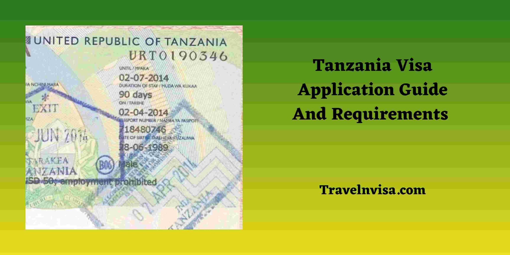 Tanzania Visa Application Form | Tanzania Visa Application Guide And ...